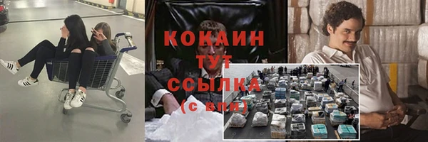 каннабис Инта