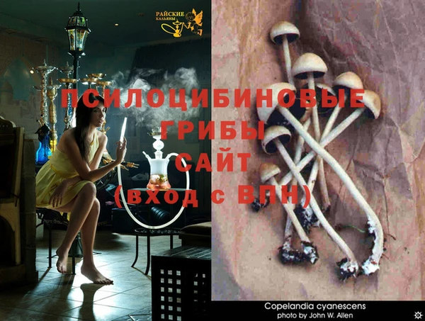марихуана Инсар