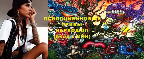 соль ск Иннополис
